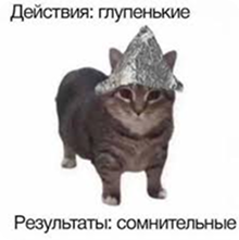 кот